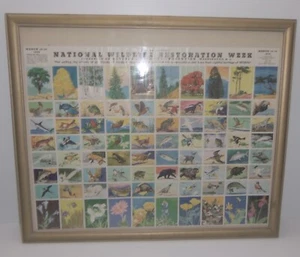 Segunda Semana Anual de Restauración de la Federación Nacional de Vida Silvestre 1939 - 80 estampillas - Imagen 1 de 18