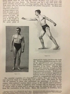 Characteristics Athletes Body 1887 Sports Medicine - Picture 1 of 4