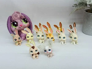Littlest Pet Shop (LPS) Jumbo Giant XXL Floppy Ears Lot Of 13 Bunny LPS - Picture 1 of 7