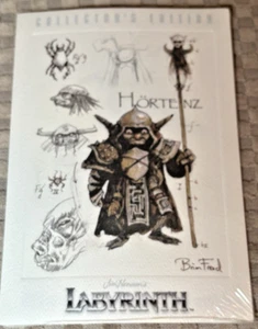 Brian Fround Labyrinth - Hortenz, Edizione da Collezione 4,5x6,5 - Foto 1 di 2