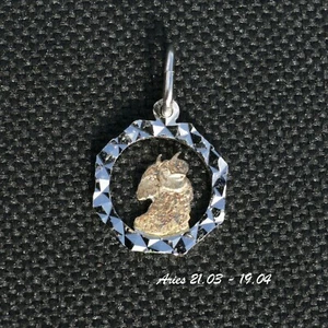 12 Horoskop Astrologie Sternzeichen Buchstabe Geburtszeichen Silber vergoldet Anhänger Geschenk - Bild 1 von 24