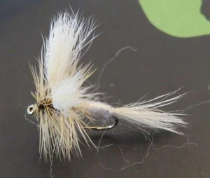 1/2 dozzina di mosche bianche Wulff Dry - Foto 1 di 2