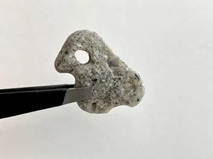 Bird Natural Holey Beach Rock Hag Stone Fairy Mystic Adder pebble Art/Craft #B - Picture 1 of 16