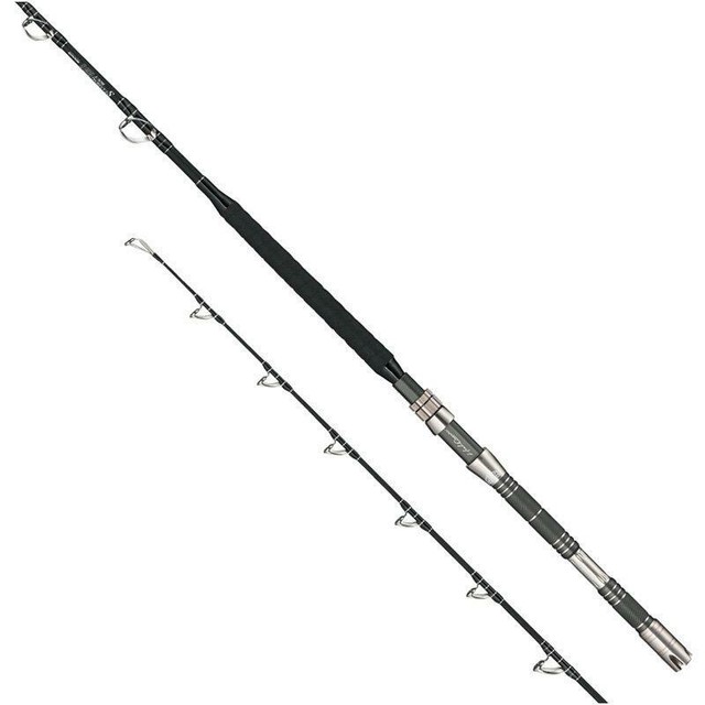 PENN Ocean Assassin 6'2 1 Piece 621MH Jig Fishing Rod PE 2-5