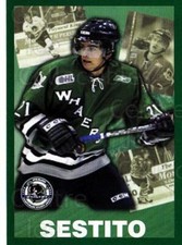 2005-06 Plymouth Whalers #21 Tom Sestito