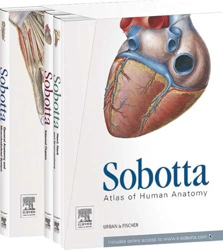 Sobotta Atlas of Human Anatomy, Package, 15th ed., English/ - Bild 1 von 1