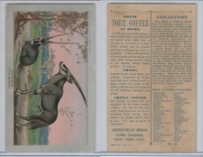 K1 Arbuckle Coffee, Animals, 1890, #45 Gems Bok