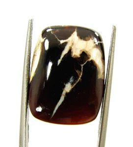 16,20 Karat Natur Erdnussholz Jaspis Lose Edelstein Cabochon Drahtfolie - 60698 - Bild 1 von 5