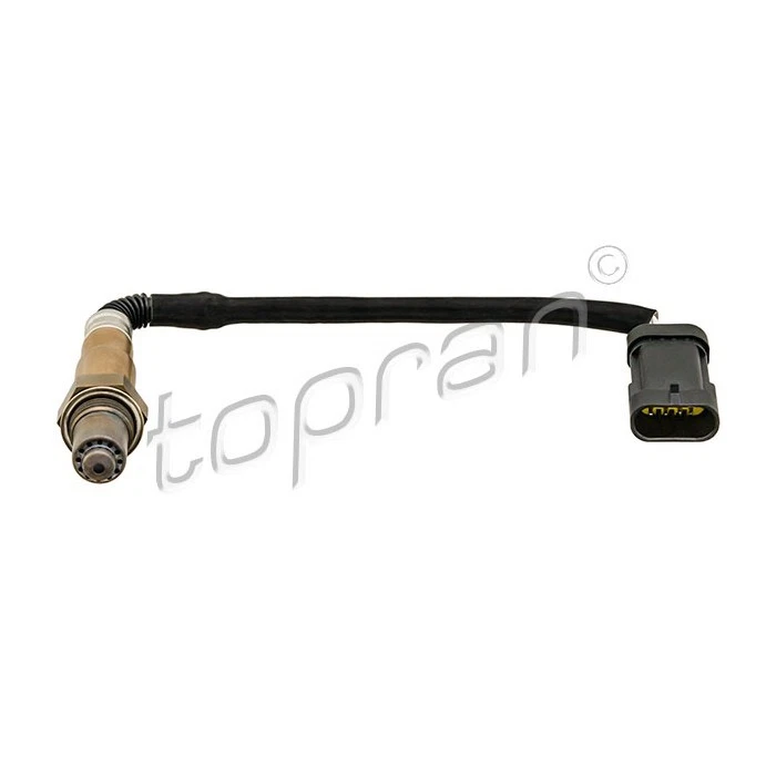 Sonde Lambda Pour Renault Clio II Duster Kangoo Logan Sandero Thalia I Dacia - Immagine 1 di 1