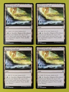 Blighted Woodland x4 Battle for Zendikar 4x Playset Magic the Gathering MTG - Picture 1 of 1