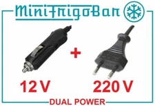 Frigorifero Mini Frigo Portatile Piccolo da Viaggio Elettrico 12V 220V Auto Casa