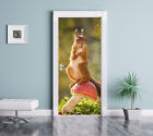 Squirrel on Toadstool - Door Decal 200x90cm Door Mural