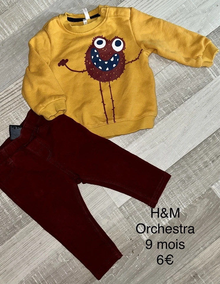 Orchestra H&M 9  mois  Fille mixte : sweat monstre + jegging TBE - Photo 1/1