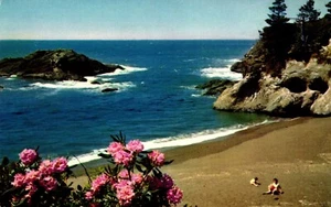 Postal de la costa del océano Pacífico, Oregón - Imagen 1 de 2