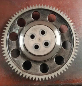 MAXXFORCE 13 Timing Gear 3002887C1 - Picture 1 of 4
