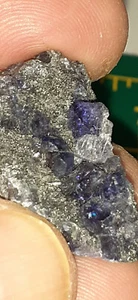 Miniaturbild lila Phantom Trapezfluorit auf Matrix - Provinz Fujian, China - Bild 1 von 8