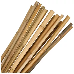 More details for strong heavy duty slim professional bamboo plant support garden canes 4ft