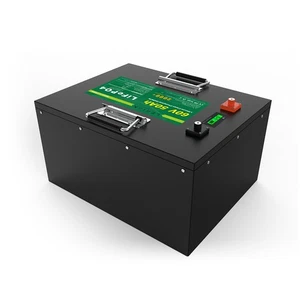 LiFePO4 Akku 60V 50Ah 3000Wh Lithium-Eisen-Phosphat Batterie für Camping Boot - Picture 1 of 6