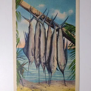 Florida Linen Postcard - Captain Bill Fishing Guide Sailfish Advertising Miami - Picture 1 of 3