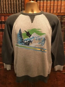 Boys’ Gap Grey Cotton Skiing Design Jumper - Age 12 (XL) - New - Apres Ski - Picture 1 of 3