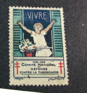 France Christmas Seal 1928-29 MNG Stock Picture L645 - Bild 1 von 1