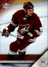 2005-06 Upper Deck Coyotes Hockey Card #144 Brett Hull