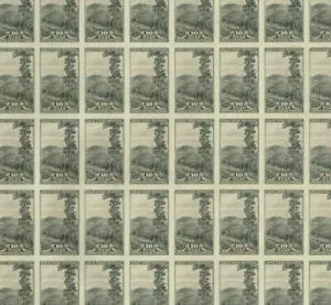 765 GREAT SMOKEY MOUNTAIN National Park imperf 10 cent Full Mint Sheet of 50 MNH - Zdjęcie 1 z 1