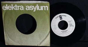 Dictators-Hey Boys-Stereo/Mono-Asylum E-45420-Vintage 1977 WL DJ 45-Company Slv! - Picture 1 of 2