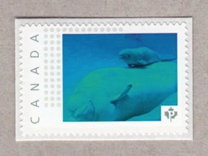 BELUGA WHALE with BABY = Picture Postage stamp MNH Canada 2016 [p16/02-2sn8] - Picture 1 of 2