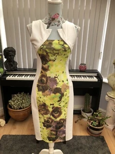 Amy Childs Sleeveless Bodycon Dress Size 10 - Picture 1 of 5