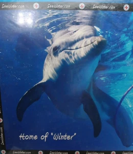 Home of Winter - Dolphin Tale Movie Clearwater Marine Aquarium 300 pc. Puzzle - Picture 1 of 8