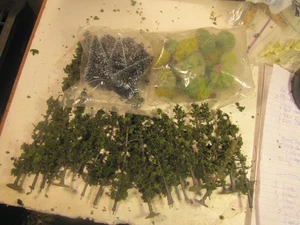 Lote árboles o enredaderas, algunos de hoja perenne con soportes - Imagen 1 de 5