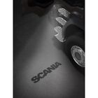 Entry Lighting Fits Scania NextGen (Set)