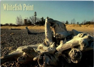 Postcard Whitefish Point Lighthouse Near Paradise Michigan MI 6x4 Driftwood - Picture 1 of 2