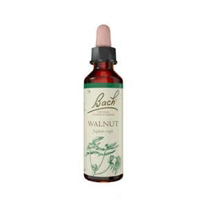 Bach Flower Remedies Walnut 20mL - Picture 1 of 1