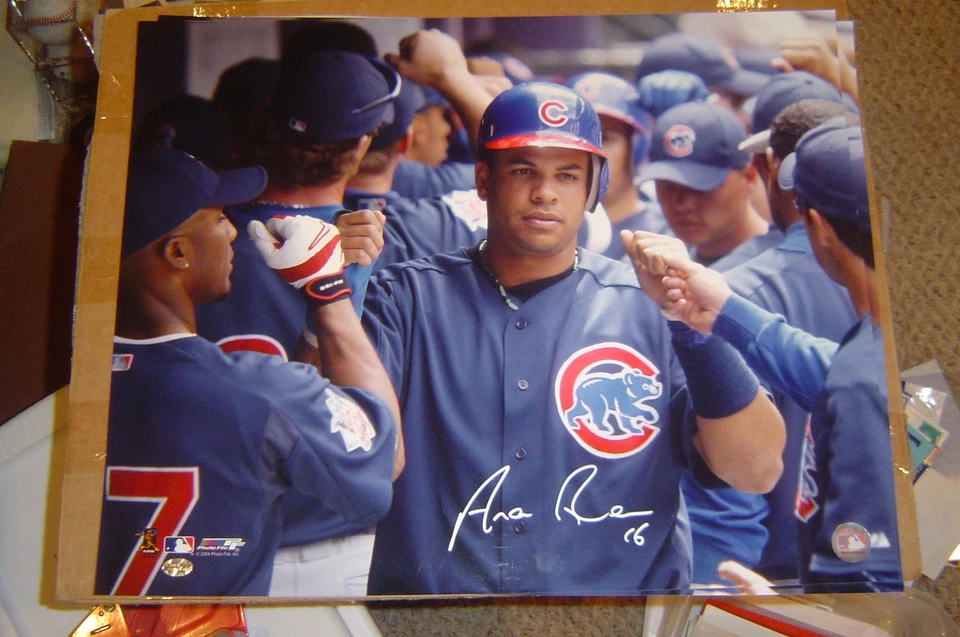 FOTO DE CACHORROS 16x20 autografiada firmada por Aramis Ramirez con sidsgraphs certificado de autenticidad Foto 1 de 1