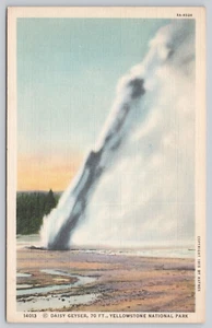 Postkarte Daisy Geysir Yellowstone Nationalpark Wyoming - Bild 1 von 2