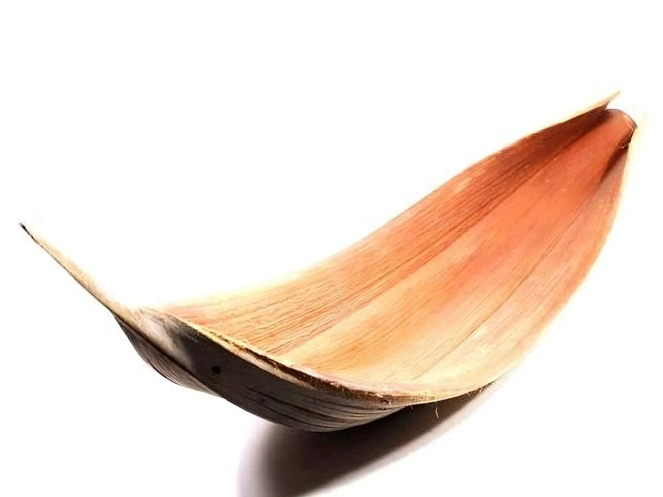 NaDeco® Kokosblatt Galara groß (Giants) ab 150cm | Kokosschale | Kokosnuss Blatt - Bild 1 von 1