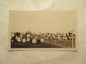 RPPC Postcard Logging Lumber Logs Real Photo - Picture 1 of 2