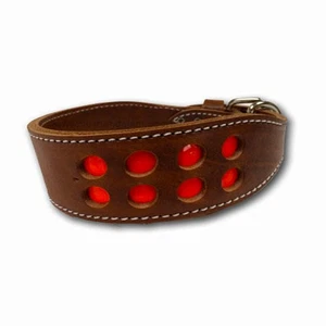 OmniPet Leder 2 Fuß breit reflektierendes Halsband tiefes Ende - Bild 1 von 2