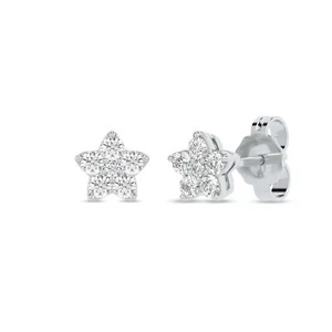 14k White Gold 0.25Ct TW Lab Created Round Diamond Star Stud Earrings for Women - Picture 1 of 4