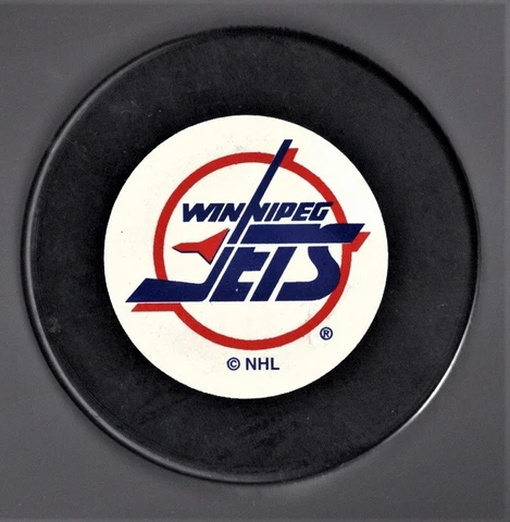 Detroit Red Wings NHL Hockey Official Trench Puck Cover