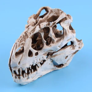 Tyrannosaurus T-Rex Dinosaur Resin Fossil Skull Model Collectibles Display v - Picture 1 of 3