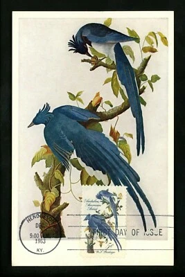 US FDC #1241 National Gallery of Art Maximum Postcard M-1 1963 KY Audubon Birds - Image 1 of 2