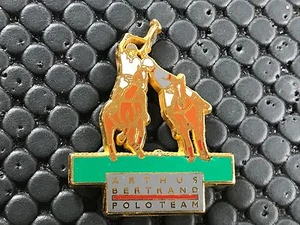  pins pin BADGE SPORT  POLO TEAM CHEVAL  ARTHUS BERTRAND - Picture 1 of 1
