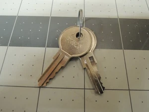 (2) Chiavi di ricambio Aviglon / Gamewell / FCI per sistemi di allarme antincendio e sicurezza - Foto 1 di 10