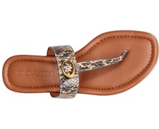 jessie buckle thong sandals