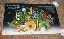 Celebrating Wildflowers Ethnobotany US Forest Service Agriculture POSTER 32"x20"