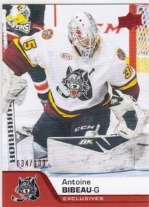 2020-21 Upper Deck AHL #14 Antoine Bibeau Exclusives #034/100 - Picture 1 of 1