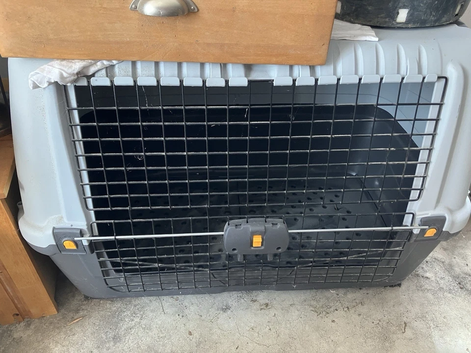 Hundetransportbox fürs Auto-kaum gebraucht - Bild 1 von 1